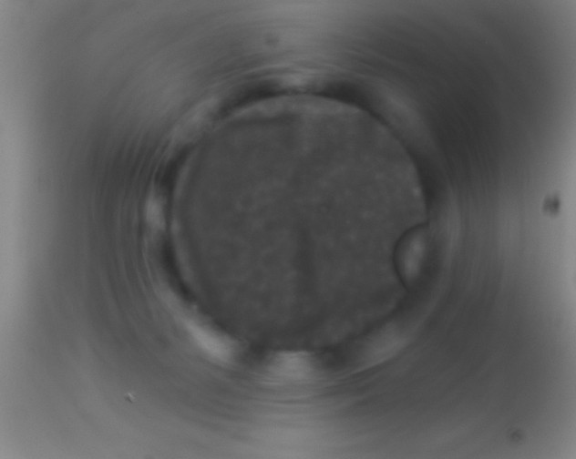 X0000113940127200910161924