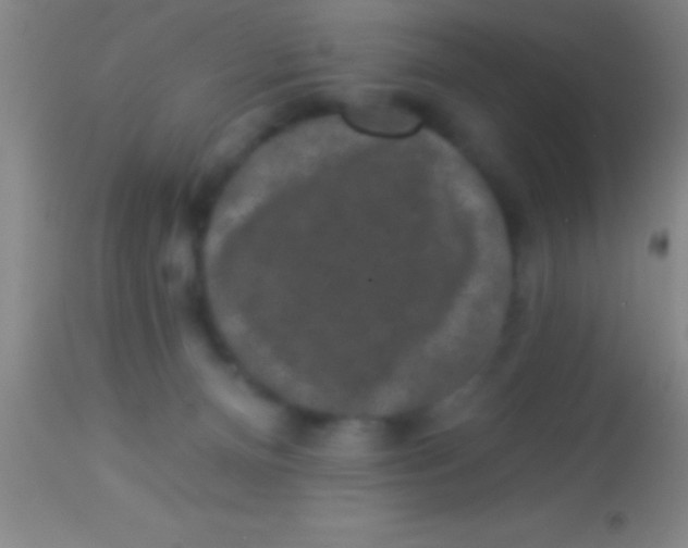X0000113940128200910161924