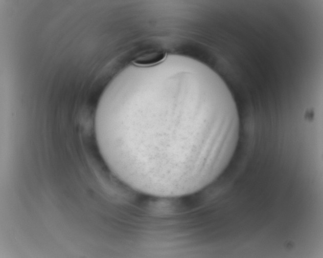 X0000113940129200910161924