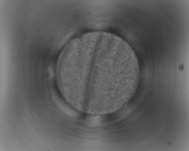 X0000113940131200910161924