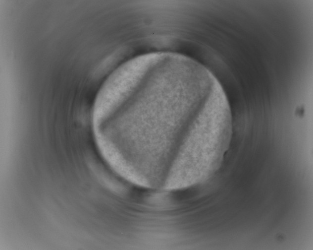 X0000113940132200910161924