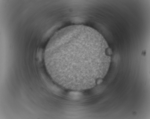 X0000113940133200910161924