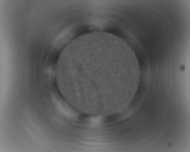 X0000113940134200910161924