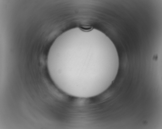 X0000113940135200910161924
