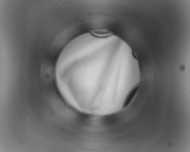 X0000113940136200910161924