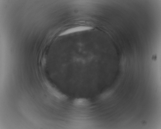 X0000113940137200910161924