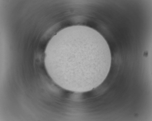 X0000113940138200910161924