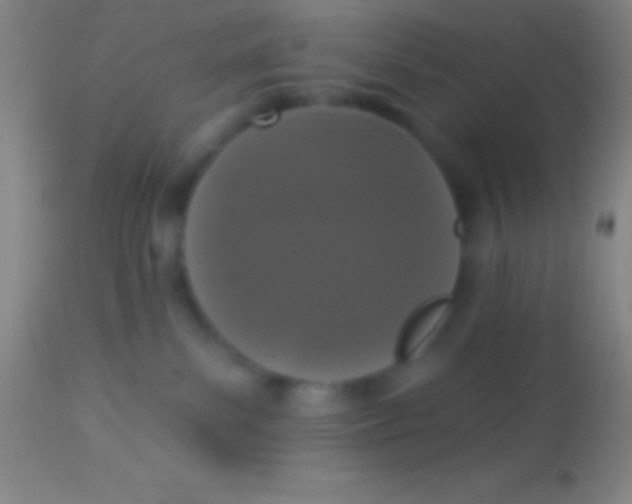 X0000113940139200910161924