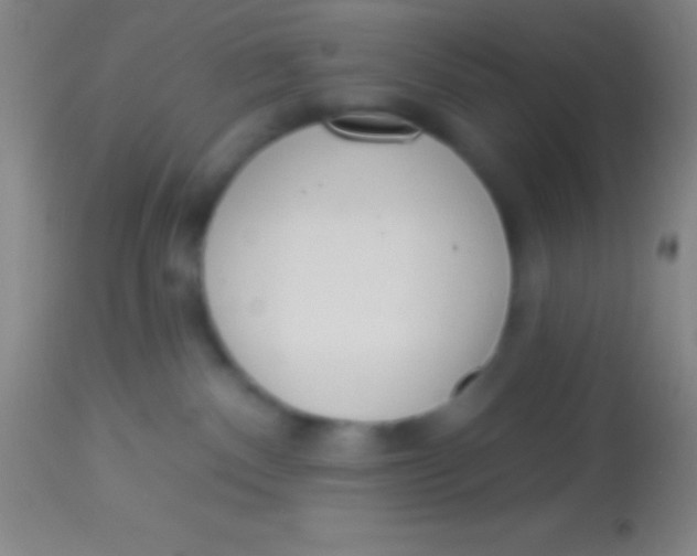 X0000113940140200910161924