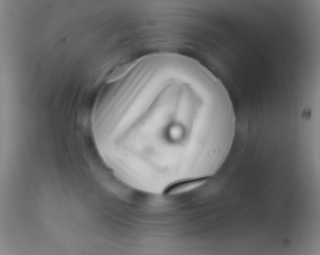X0000113940141200910161924