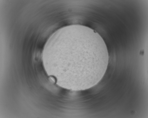X0000113940142200910161924