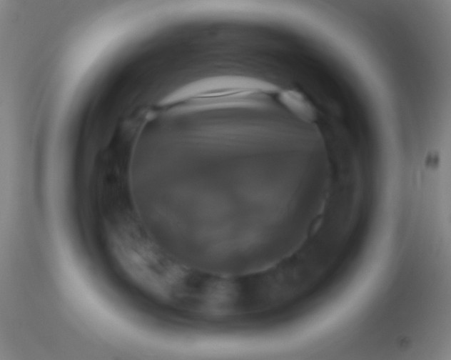X0000113940143200910161924