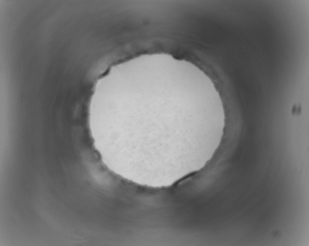 X0000113940144200910161924