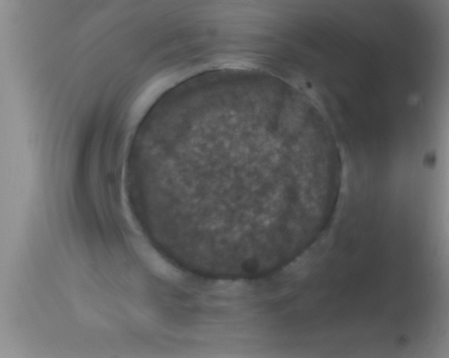 X0000113940145200910161923