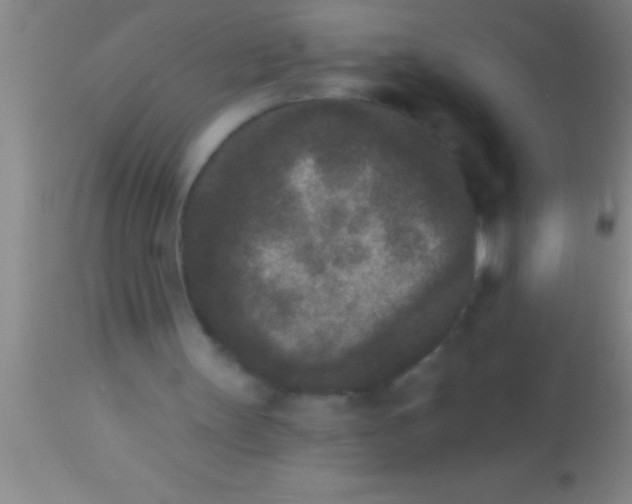 X0000113940147200910161923
