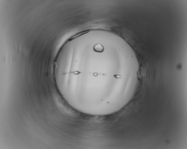 X0000113940148200910161923