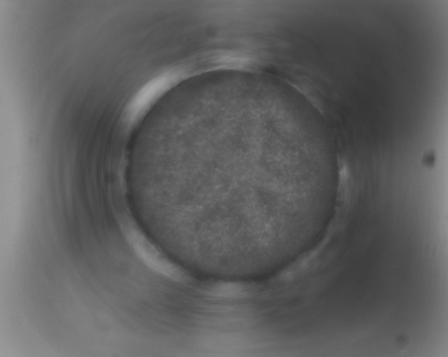 X0000113940149200910161923