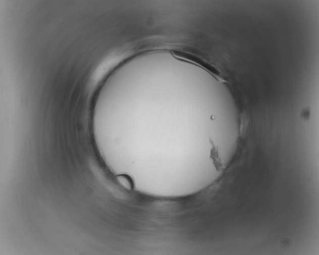 X0000113940150200910161923