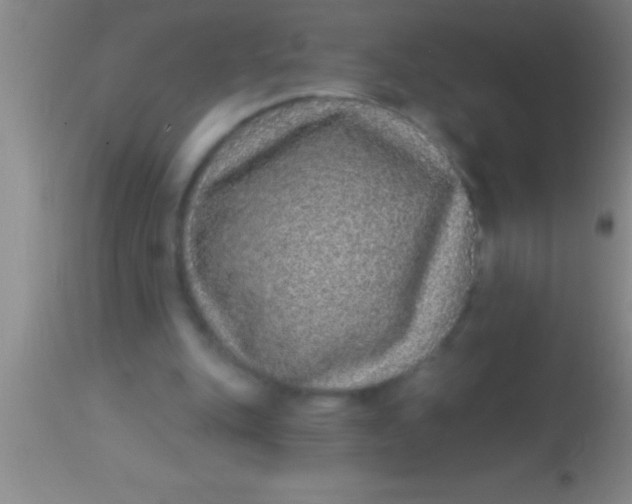 X0000113940151200910161923