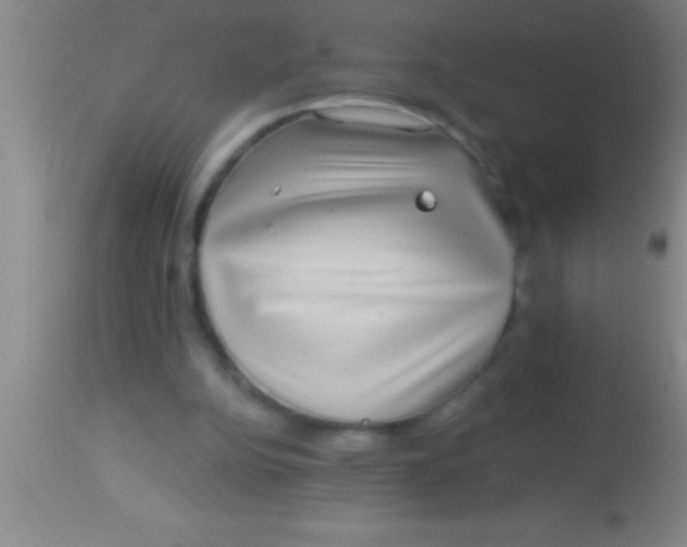 X0000113940152200910161923