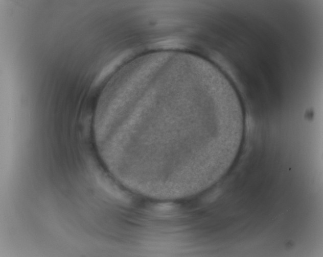X0000113940153200910161923