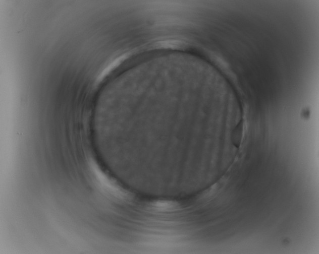 X0000113940154200910161923