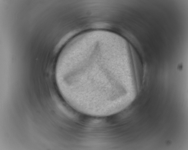 X0000113940155200910161923