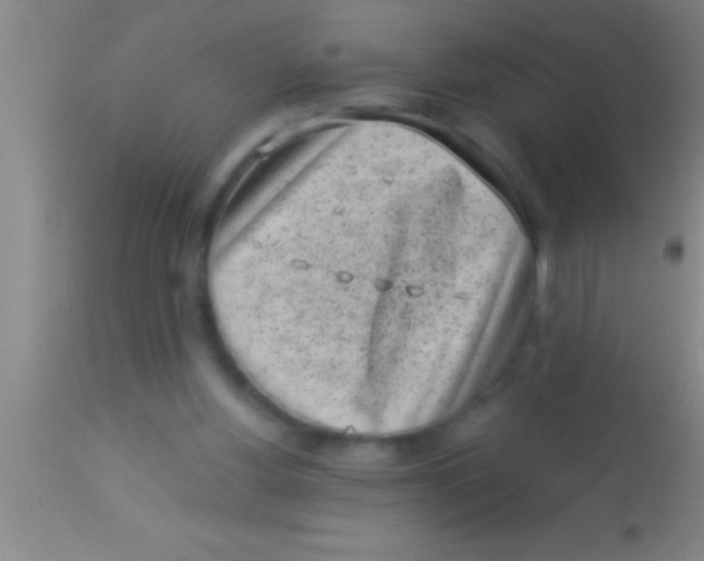 X0000113940156200910161923