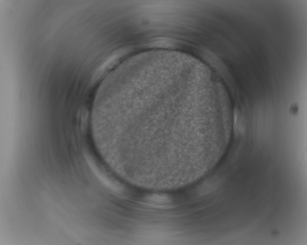 X0000113940157200910161923