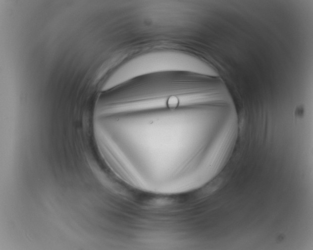 X0000113940158200910161923