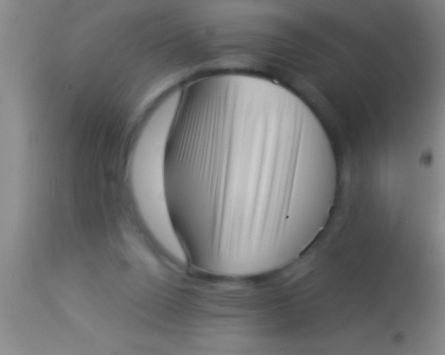 X0000113940160200910161923