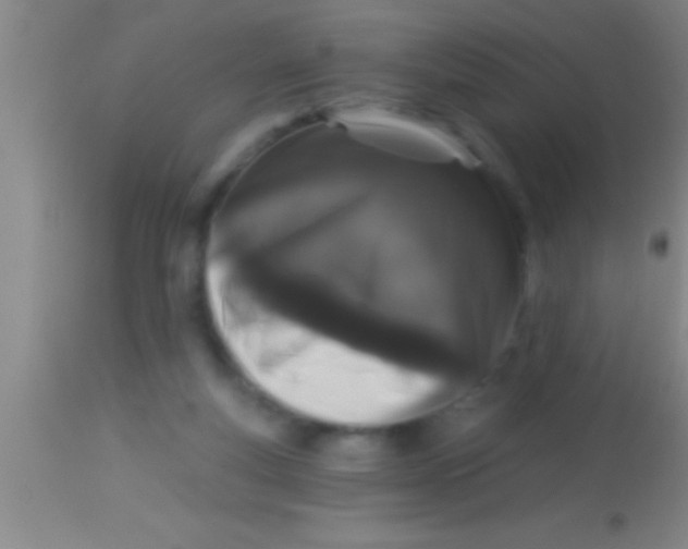 X0000113940163200910161923
