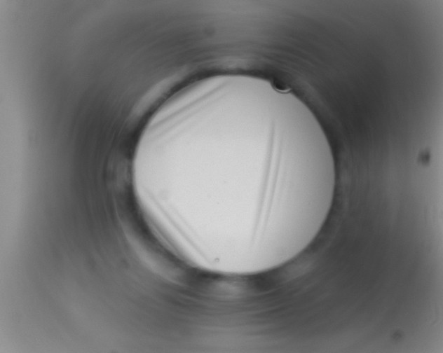 X0000113940164200910161923