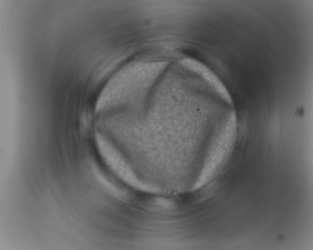 X0000113940166200910161923