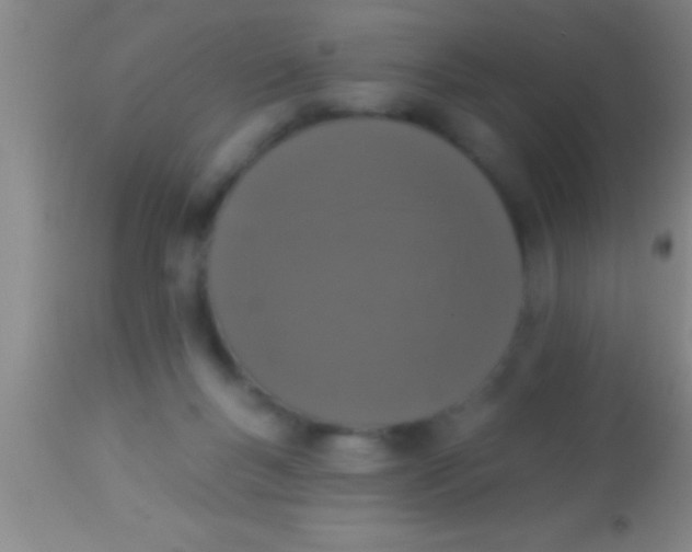 X0000113940167200910161923