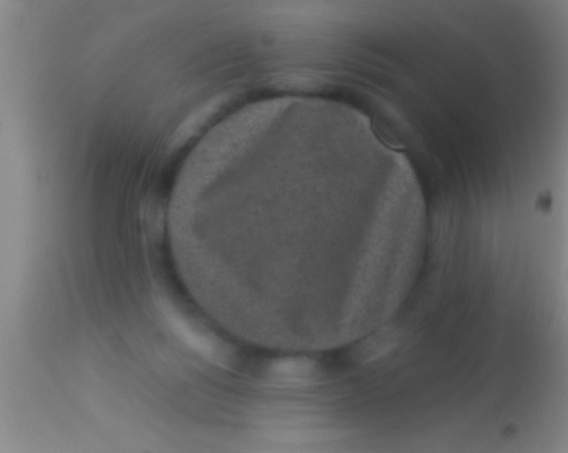 X0000113940168200910161923