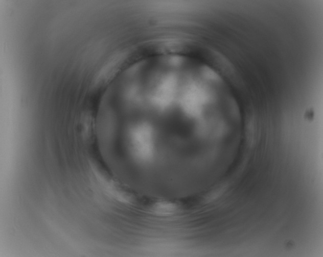X0000113940169200910161923