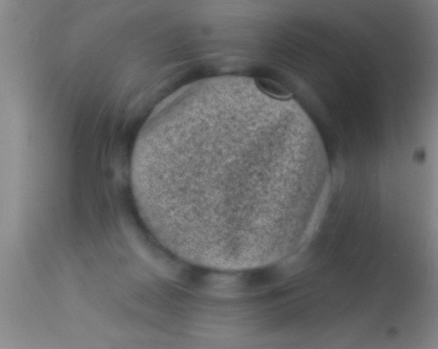 X0000113940170200910161923