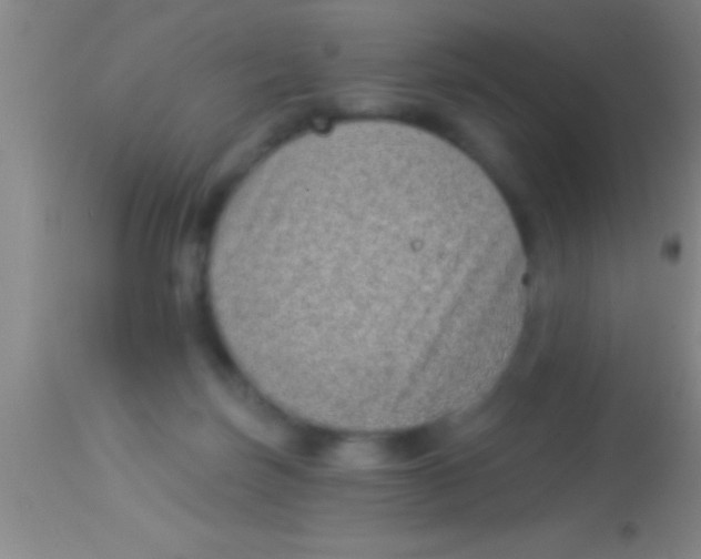 X0000113940171200910161923