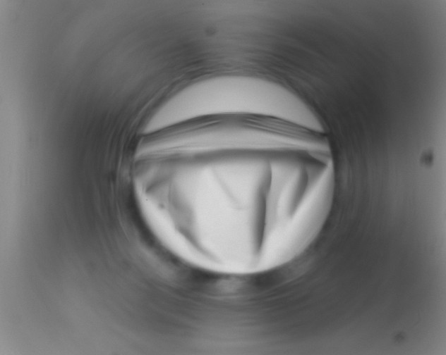 X0000113940172200910161923