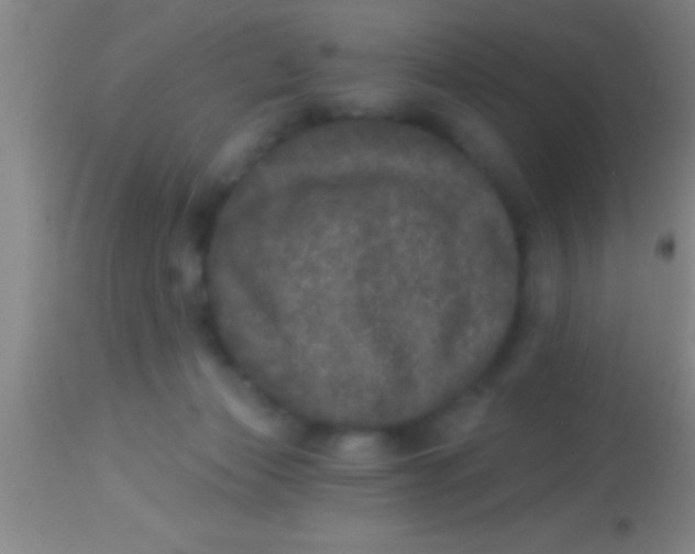X0000113940173200910161923