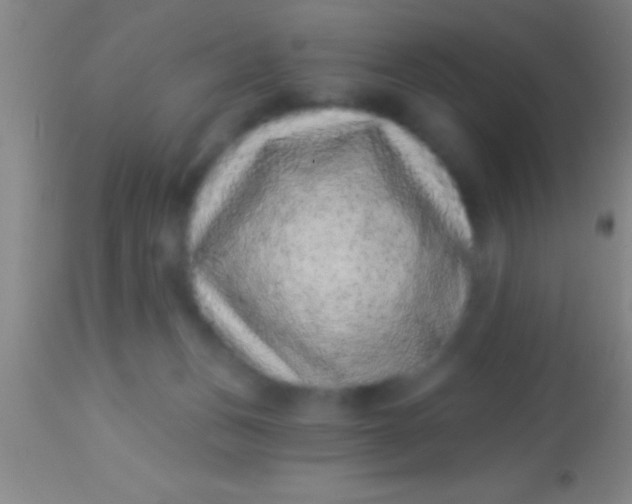 X0000113940175200910161923