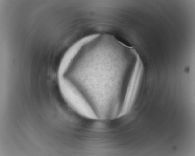X0000113940176200910161923