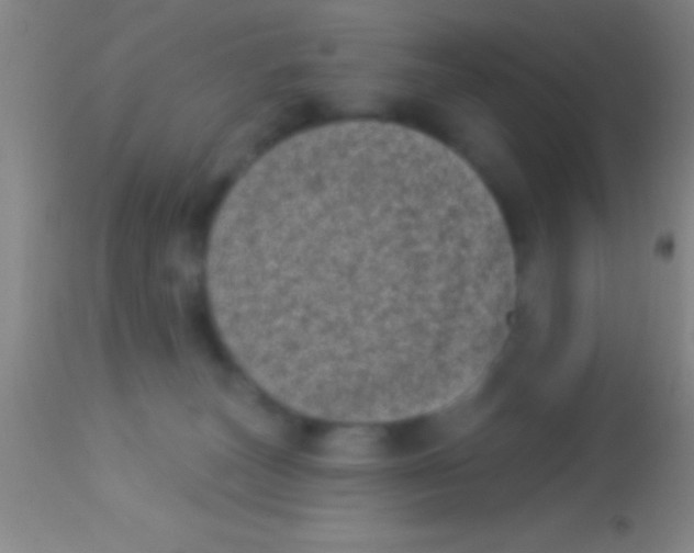 X0000113940179200910161924
