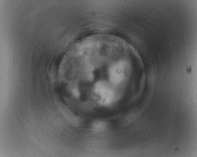 X0000113940181200910161924