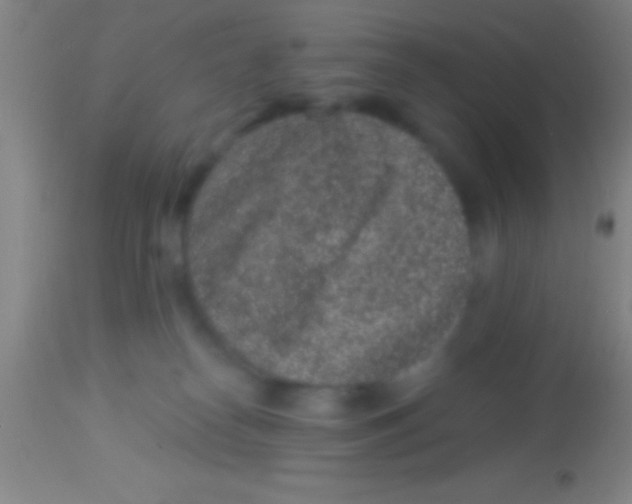 X0000113940182200910161924