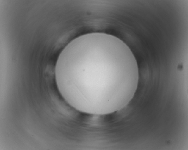 X0000113940184200910161924