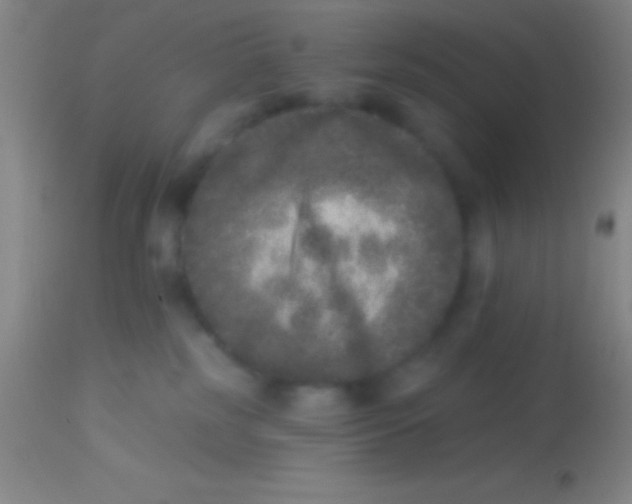 X0000113940185200910161924