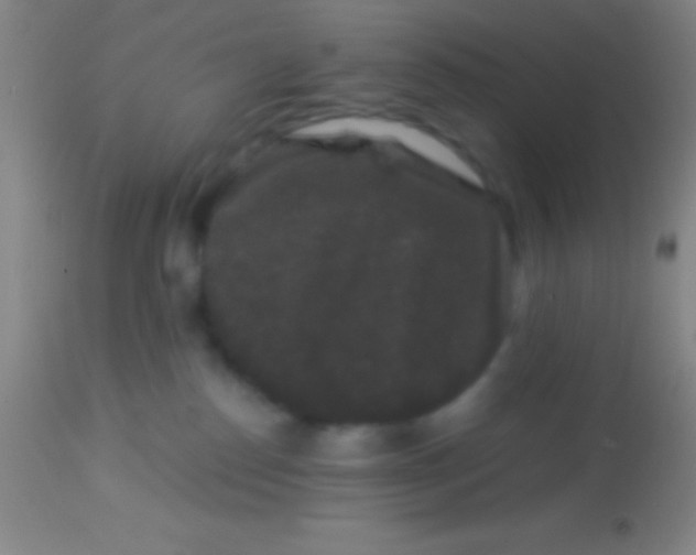 X0000113940186200910161924