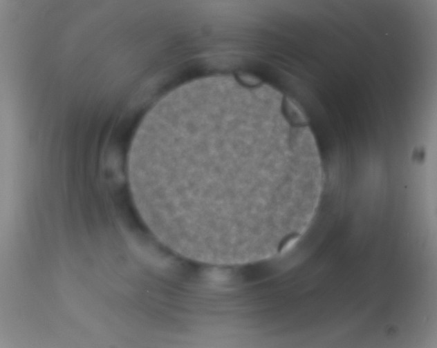 X0000113940187200910161924